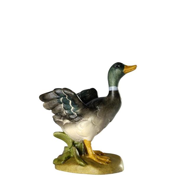 Ente mit Flügel offen