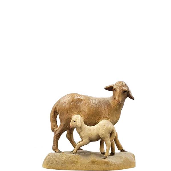 Schaf-Lamm stehend Schaf-Lamm stehend