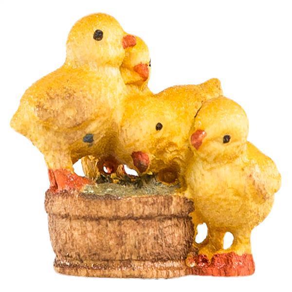 Kükengruppe Kükengruppe