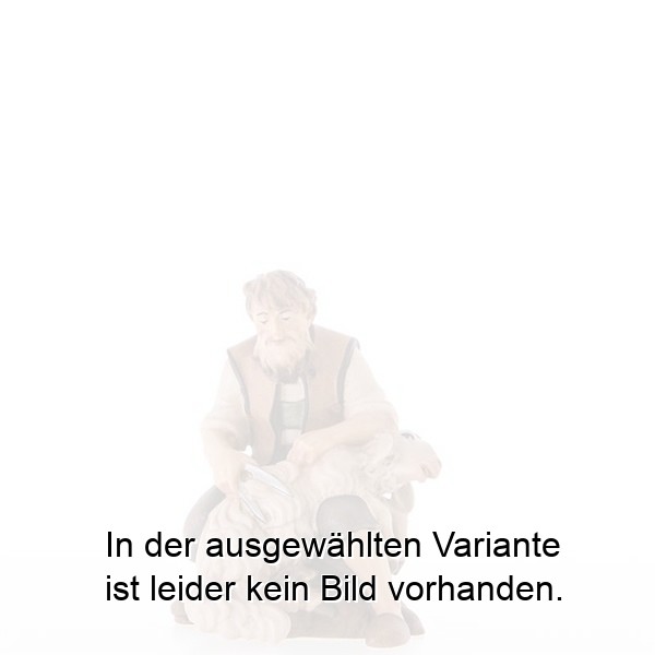 Scherer Scherer