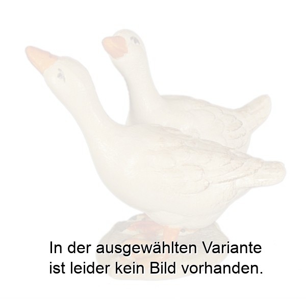 Gänsegruppe Gänsegruppe