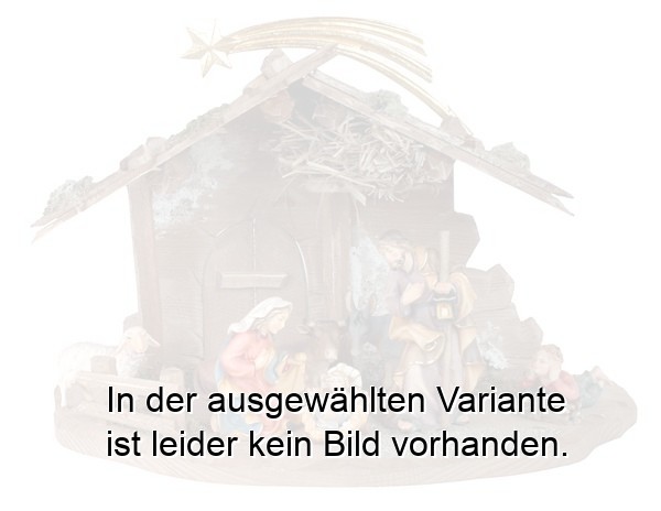 Bavaria Set 10 teilig - Stall TR
