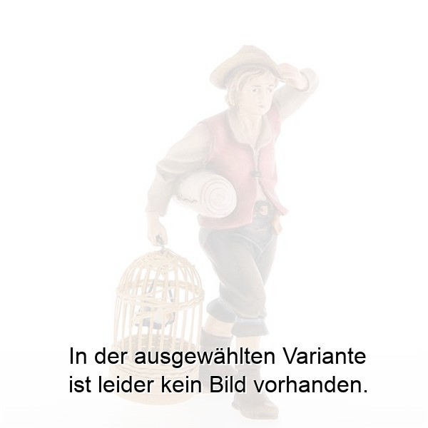 Gimpelträger Gimpelträger