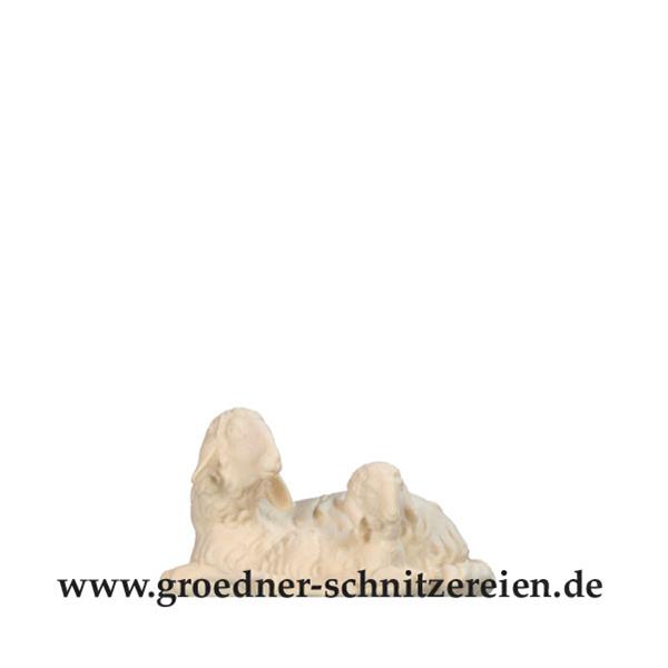 Schafgruppe liegend Schafgruppe liegend