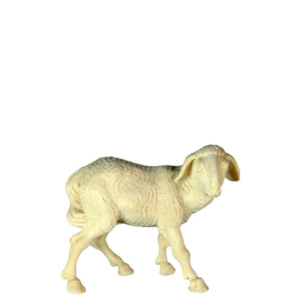 Schaf stehend rechts Schaf stehend rechts