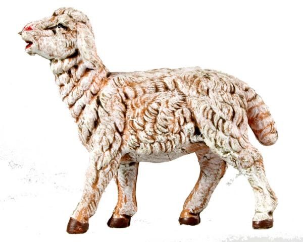 Schaf stehend Schaf stehend