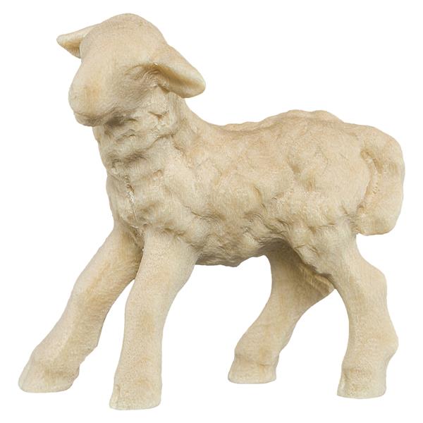 Lamm stehend linksschauend