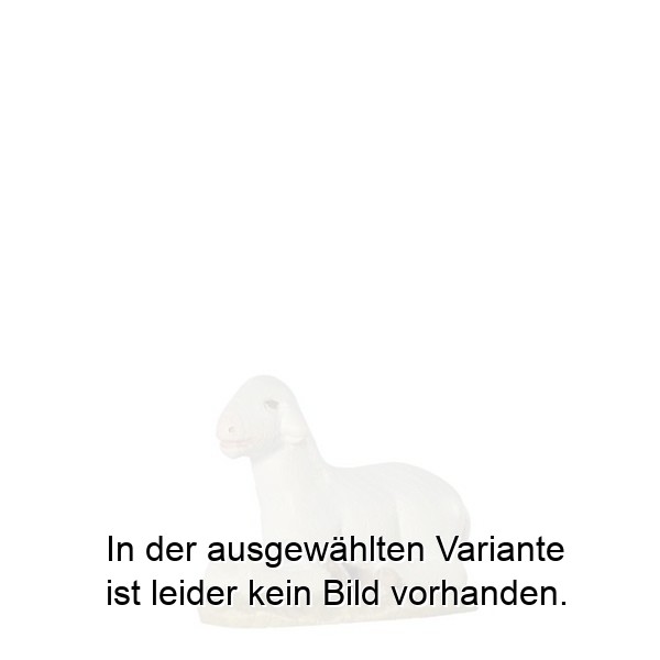 Schaf liegend Leo-Krippe - Esche Schaf liegend Leo-Krippe - Esche
