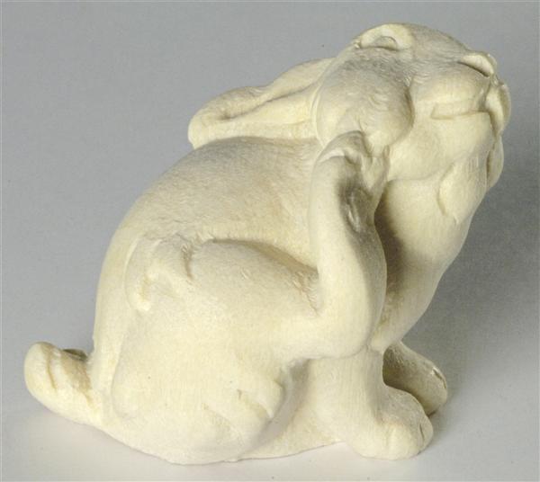 Hasenjunge Backe kratzend Hasenjunge Backe kratzend