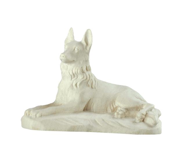 Schäferhund liegend Schäferhund liegend