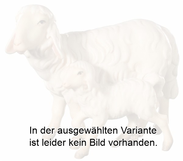 Schafgruppe stehend Schafgruppe stehend