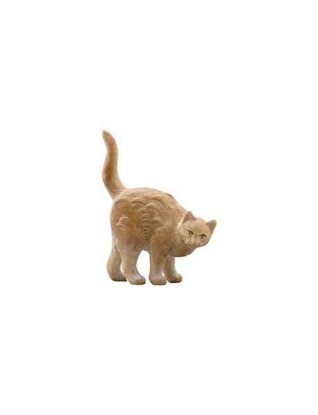 Katze stehend