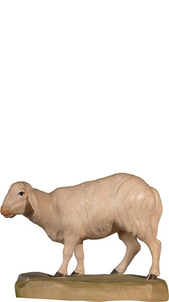 Schaf stehend Schaf stehend