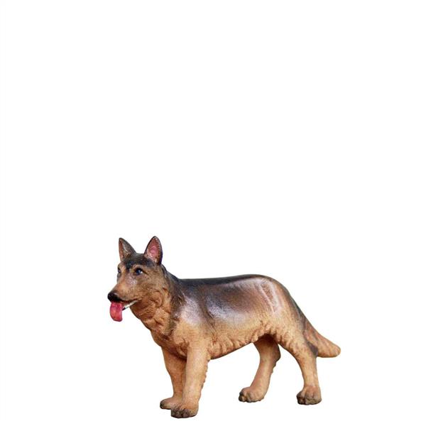 Schäferhund Schäferhund