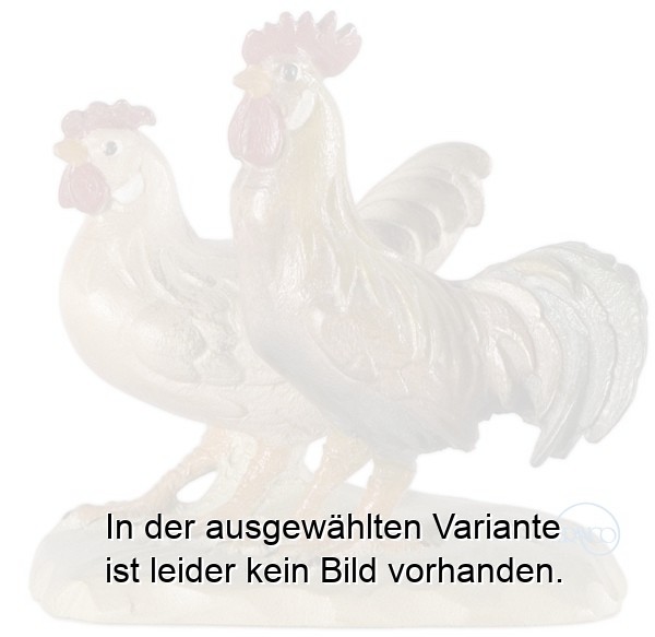 Gruppe Hahn und Henne Gruppe Hahn und Henne