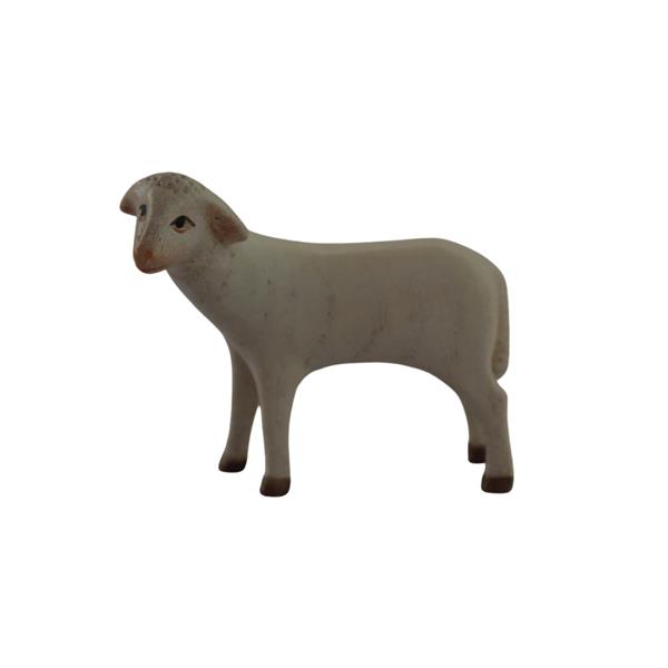 Schaf stehend