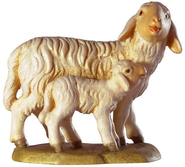 Schaf mit Lamm Schaf mit Lamm