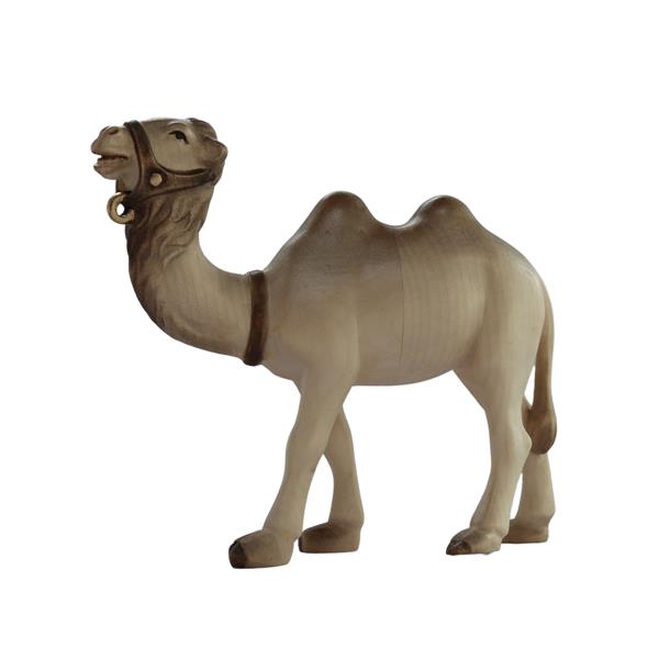 Kamel stehend modern Kamel stehend modern
