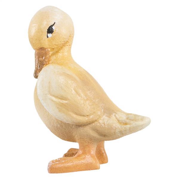 Kleine Gans Kleine Gans