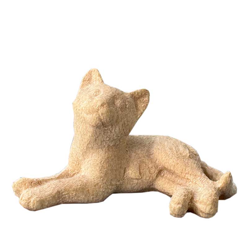 Liegendes Kätzchen Liegendes Kätzchen