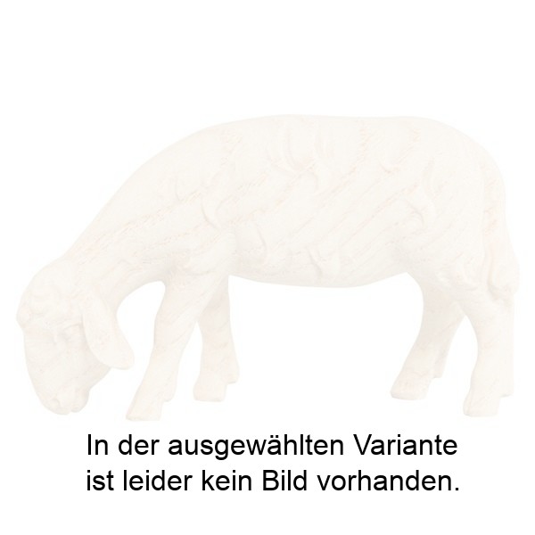 HK Schaf grasend (Esche)