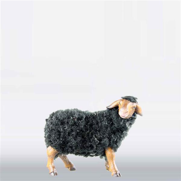 Schaf zurückschauend mit Wolle schwarz