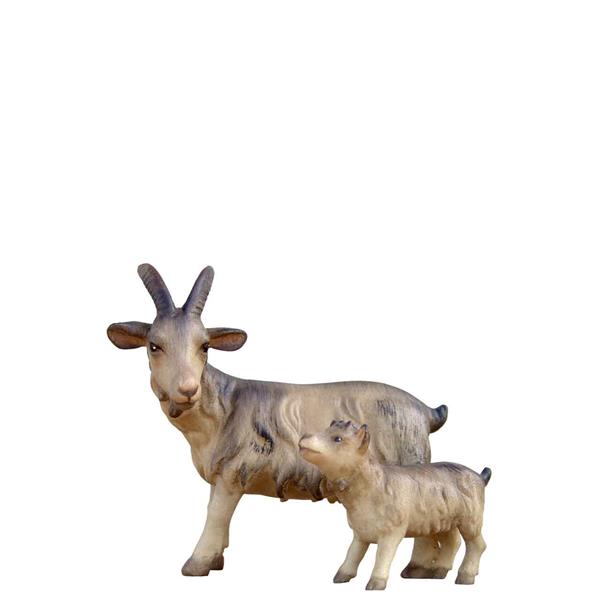 Ziege mit Kitz