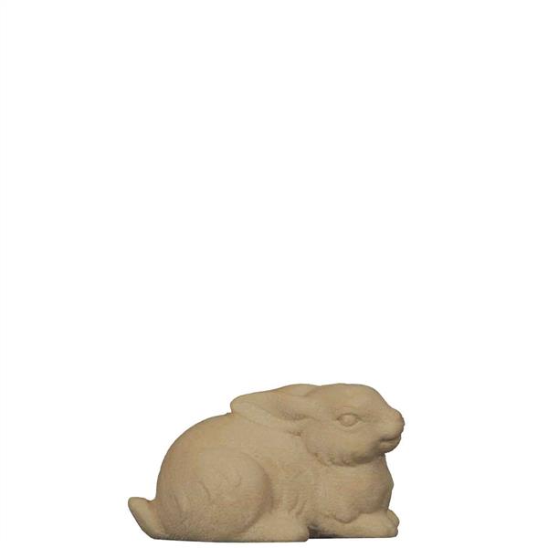 Hase