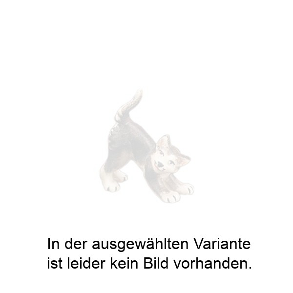 Schnurrendes Kätzchen Schnurrendes Kätzchen