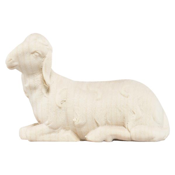 Schaf liegend Schaf liegend