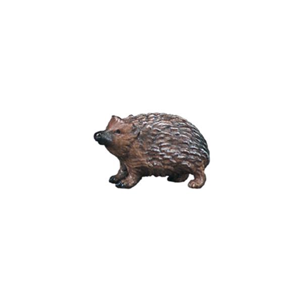 Igel nach oben schauend