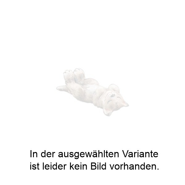 Liegendes Kätzchen mit geschlossenen Augen Liegendes Kätzchen mit geschlossenen Augen