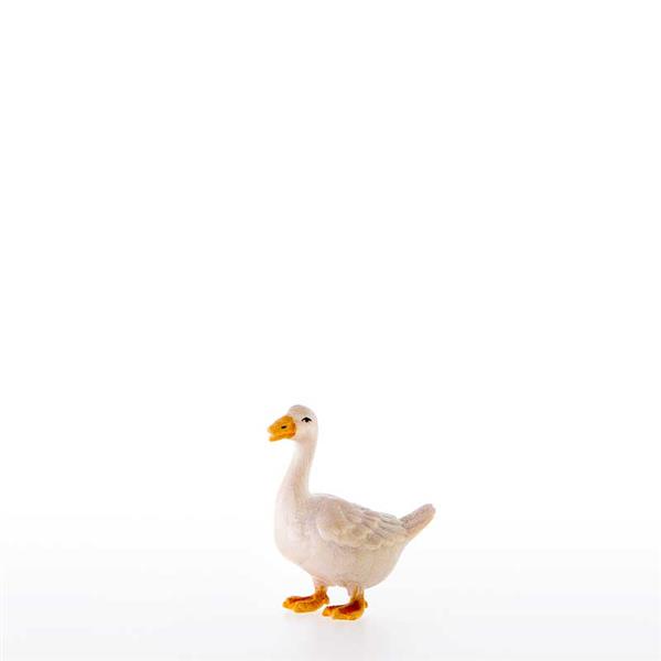 Gans nach vorne schauend
