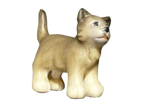 Katze