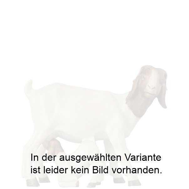Burenziegenmutter mit Zicklein