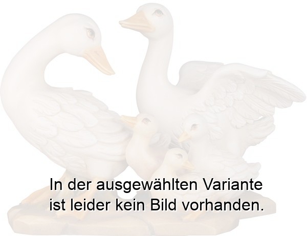 Gänsefamilie Gänsefamilie