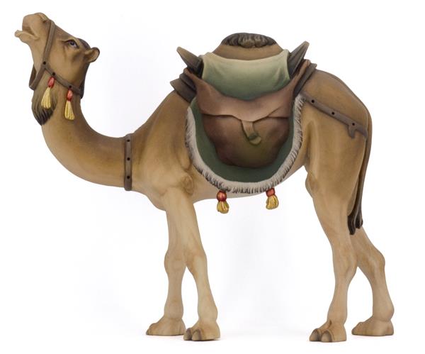 'Naz' Kamel stehend