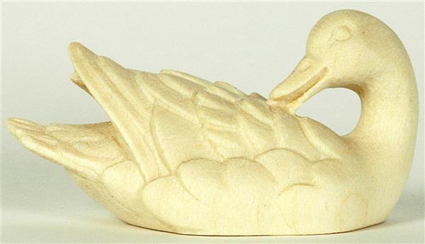 Ente schwimmend - Kopf hinten braun