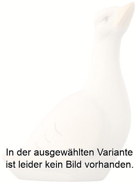 Gans modern