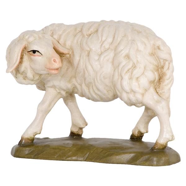 Schaf zurückschauend Schaf zurückschauend