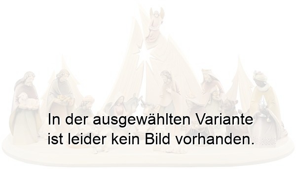 Morgenstern Krippe 18 Figuren mit Morgensternstall Morgenstern Krippe 18 Figuren mit Morgensternstall