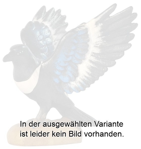 Elster Flügel offen Elster Flügel offen