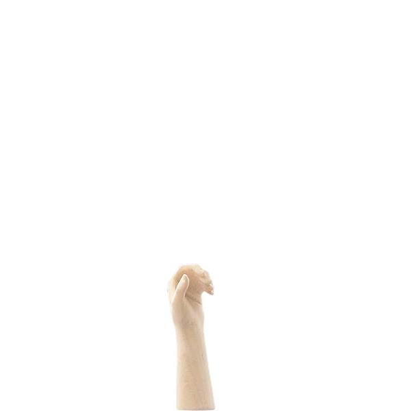 Diener - geschlossene, linke Hand Diener - geschlossene, linke Hand