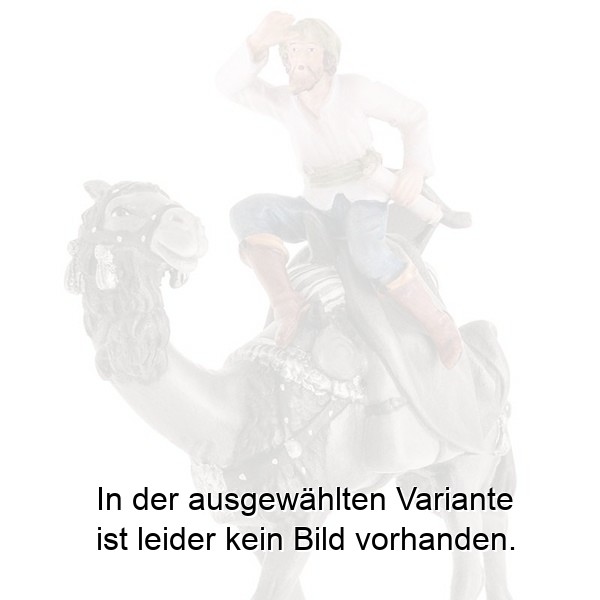Reiter ohne Kamel Reiter ohne Kamel