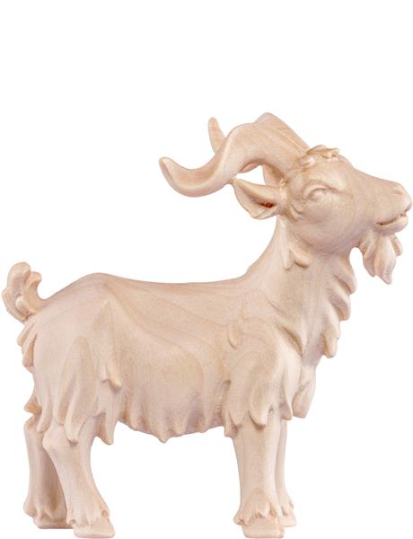 Ziegenbock Artis