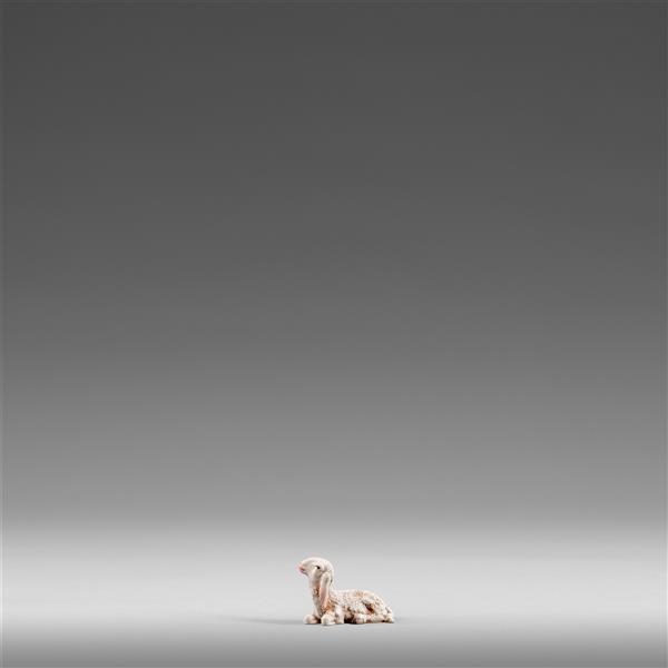 Lamm liegend Lamm liegend