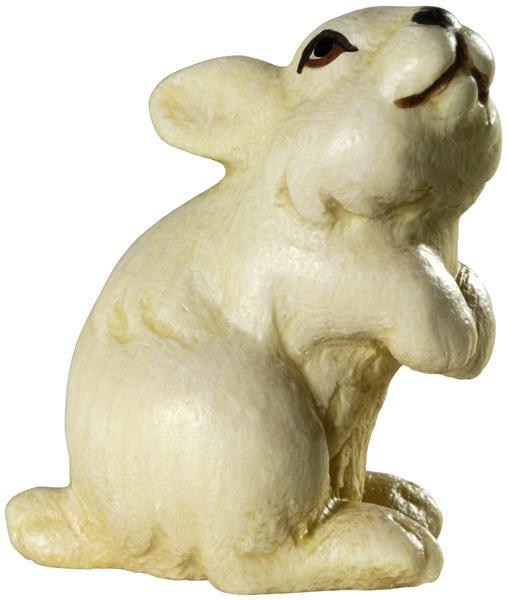 Hasenjunge auf Hinterpfoten
