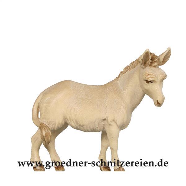 Esel orientalisch Esel orientalisch