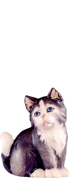 Katze Artis grau