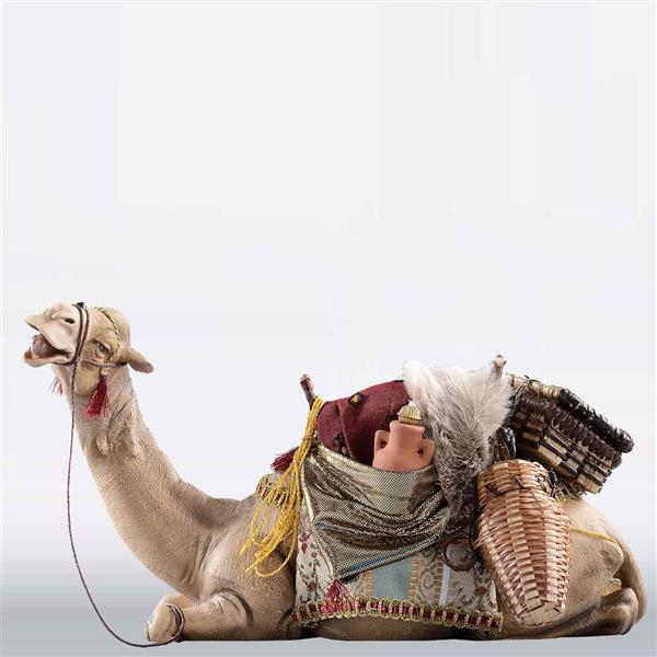 Dromedar liegend bepackt Hannah Dromedar liegend bepackt Hannah